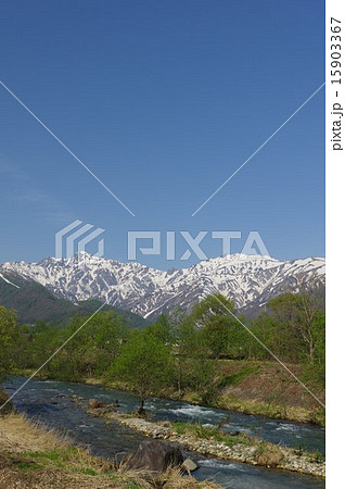 信州 白馬村 姫川から望む五竜岳(春) 信州 白馬村 姫川から望む五竜岳(春) 15903367