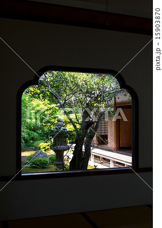 新緑の源光庵 15903870