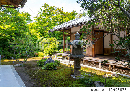 新緑の源光庵 新緑の源光庵 15903873