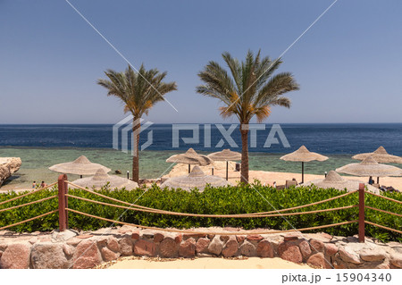 Beach at the luxury hotel, Sharm el Sheikh, Egypt 15904340