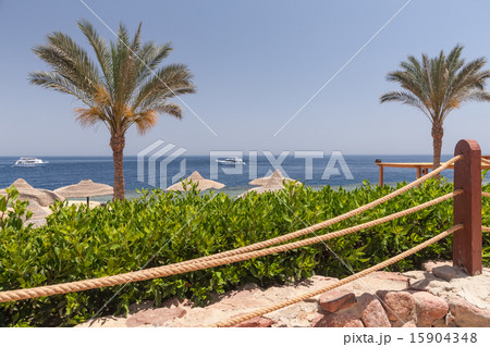 Beach at the luxury hotel, Sharm el Sheikh, Egypt 15904348
