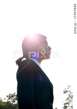 逆光の中のフレッシュマン 15904686