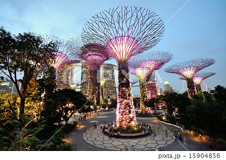シンガポール ガーデンズ バイ ザ ベイのスーパーツリーの写真素材