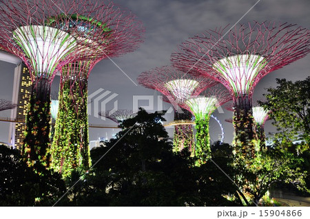 シンガポール ガーデンズ バイ ザ ベイのスーパーツリーの写真素材