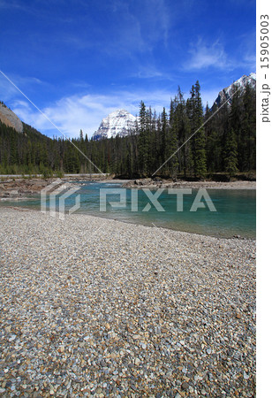 カナダの渓流　２ 15905003