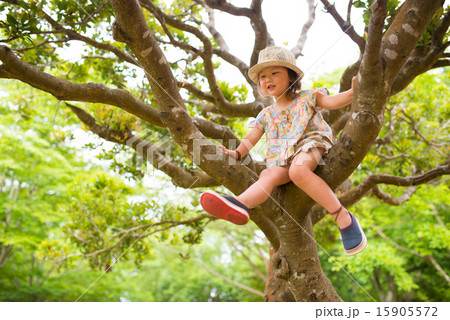 木登りをする女の子の写真素材