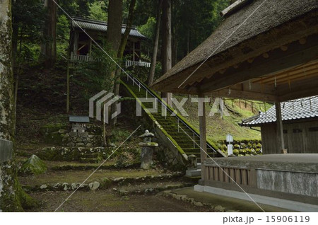 加茂神社 加茂神社 15906119