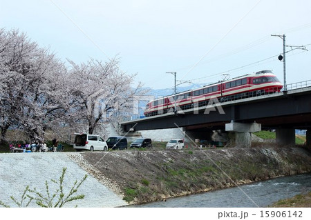 桜の季節を走り抜ける電車 15906142