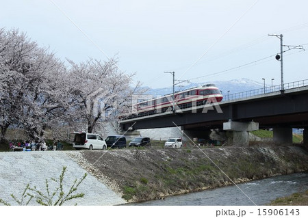 桜の季節を走り抜ける電車 15906143