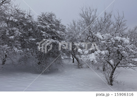 winter landscape winter landscape 15906316