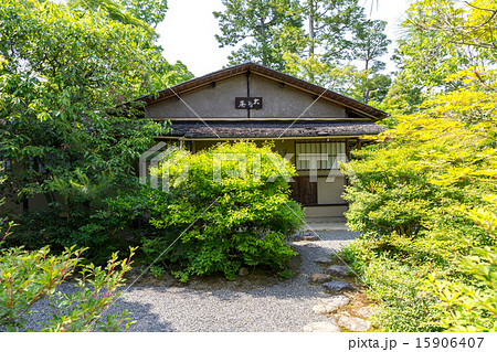 新緑の光悦寺 15906407