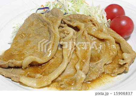 しょうが焼き 15906837