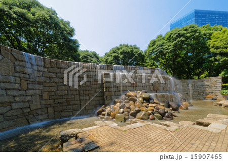 新宿中央公園の新宿ナイアガラの滝 15907465