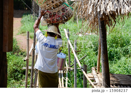 ミャンマー　人 15908237
