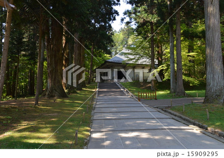 中尊寺 15909295