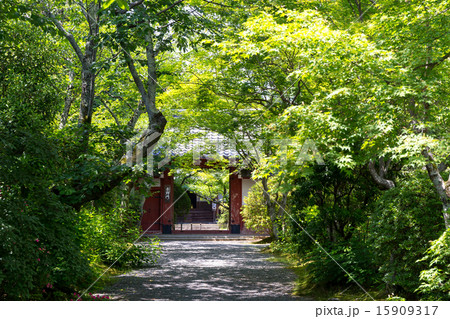 新緑の常照寺 新緑の常照寺 15909317