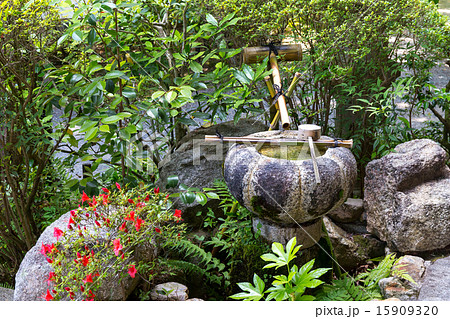 新緑の常照寺 15909320