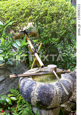 新緑の常照寺 15909321