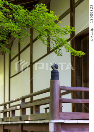 新緑の常照寺 15909322