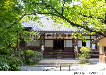 新緑の常照寺 15909327