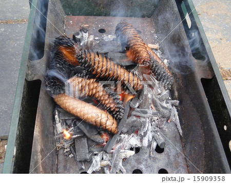 バーベキュー　火付け 15909358