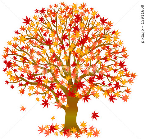 無料印刷可能紅葉 木 イラスト 美しい花の画像