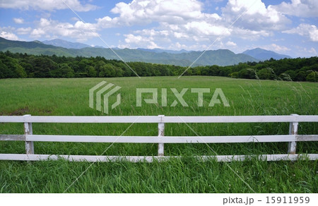 高原の夏 15911959