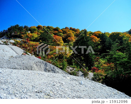 川原毛地獄 紅葉 15912096