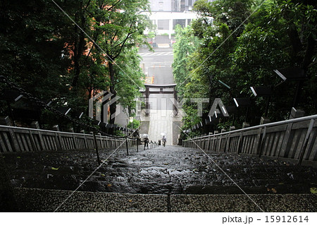 雨の出世の石段 愛宕神社 雨の出世の石段 愛宕神社 15912614