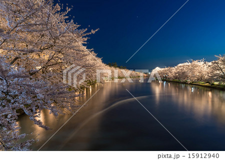 弘前城の夜桜 弘前城の夜桜 15912940