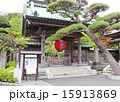 鎌倉長谷寺の門前 15913869