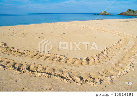 ウミガメの足跡 15914191