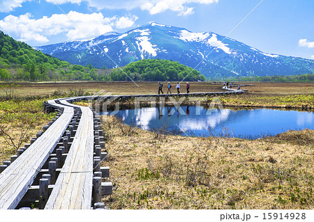 至仏山映す木道 15914928