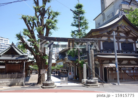 湯島天神(表鳥居) 湯島天神(表鳥居) 15915775