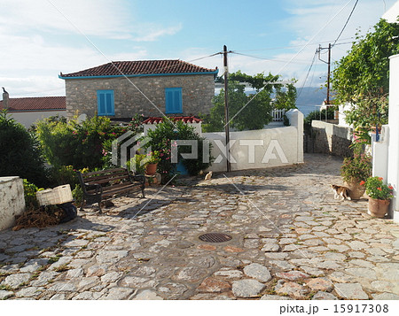 イドラ島の道 15917308