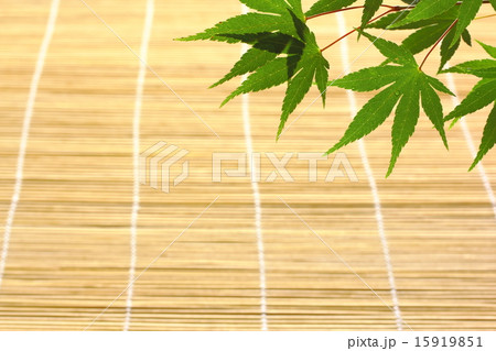 夏の背景素材 15919851