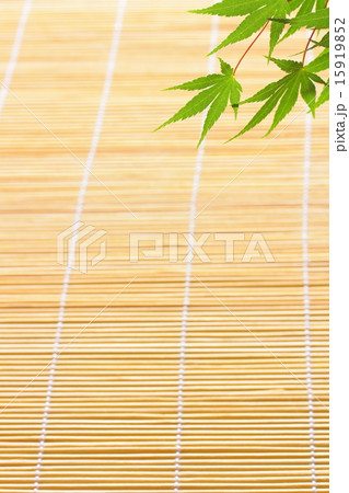 夏の背景素材 夏の背景素材 15919852
