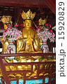 Sacred Buddha 15920829
