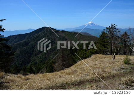 牛奥ノ雁ヶ腹摺山から見る富士山 15922150