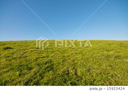 Green Grass Landscape and blue sky 15923424