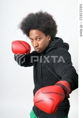 African American Boxer in attack 15923564