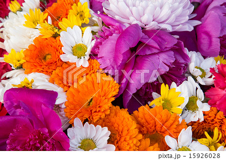 画面いっぱいの花 フラワーアレンジメントの写真素材