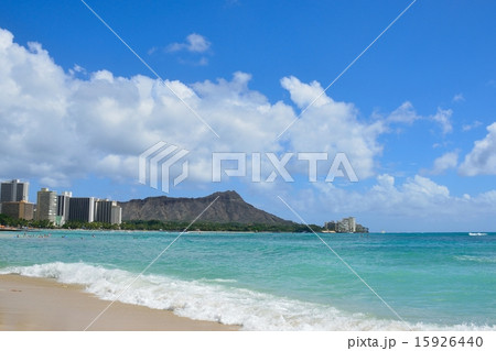 ダイヤモンドヘッド 15926440