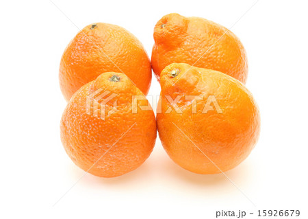 オレンジ 15926679