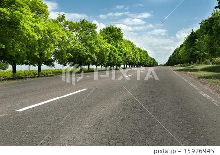 summer road landscape summer road landscape 15926945