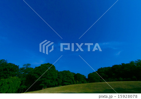 公園 15928078