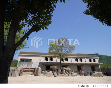 動物園の像 動物園の像 15928223