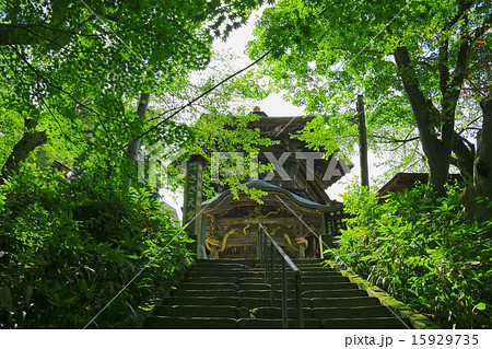 夏のさざえ堂 15929735