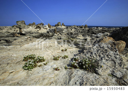 房総の海岸 房総の海岸 15930483