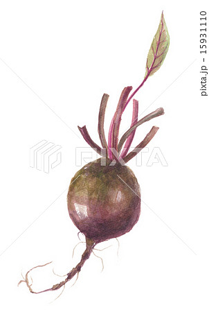 ビート のイラスト素材